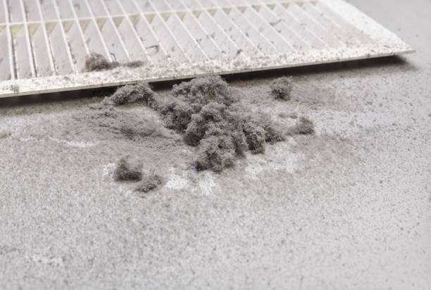 Best Professional Duct Cleaning Services  in Van Alstyne, TX