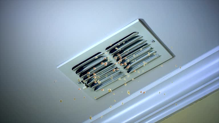 Best HVAC Air Duct Cleaning  in Van Alstyne, TX