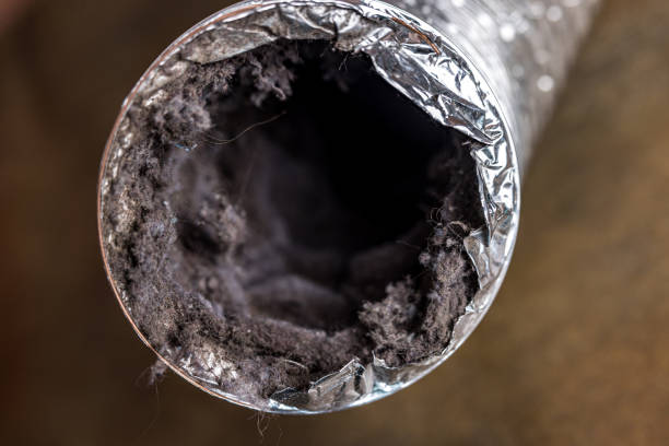 Air Duct Mold Removal in Van Alstyne, TX